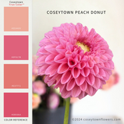 Coseytown® Peach Donut
