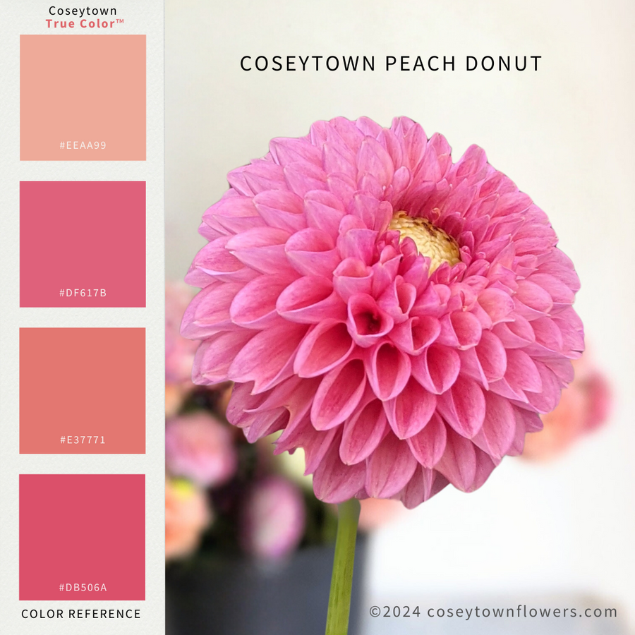 Coseytown® Peach Donut