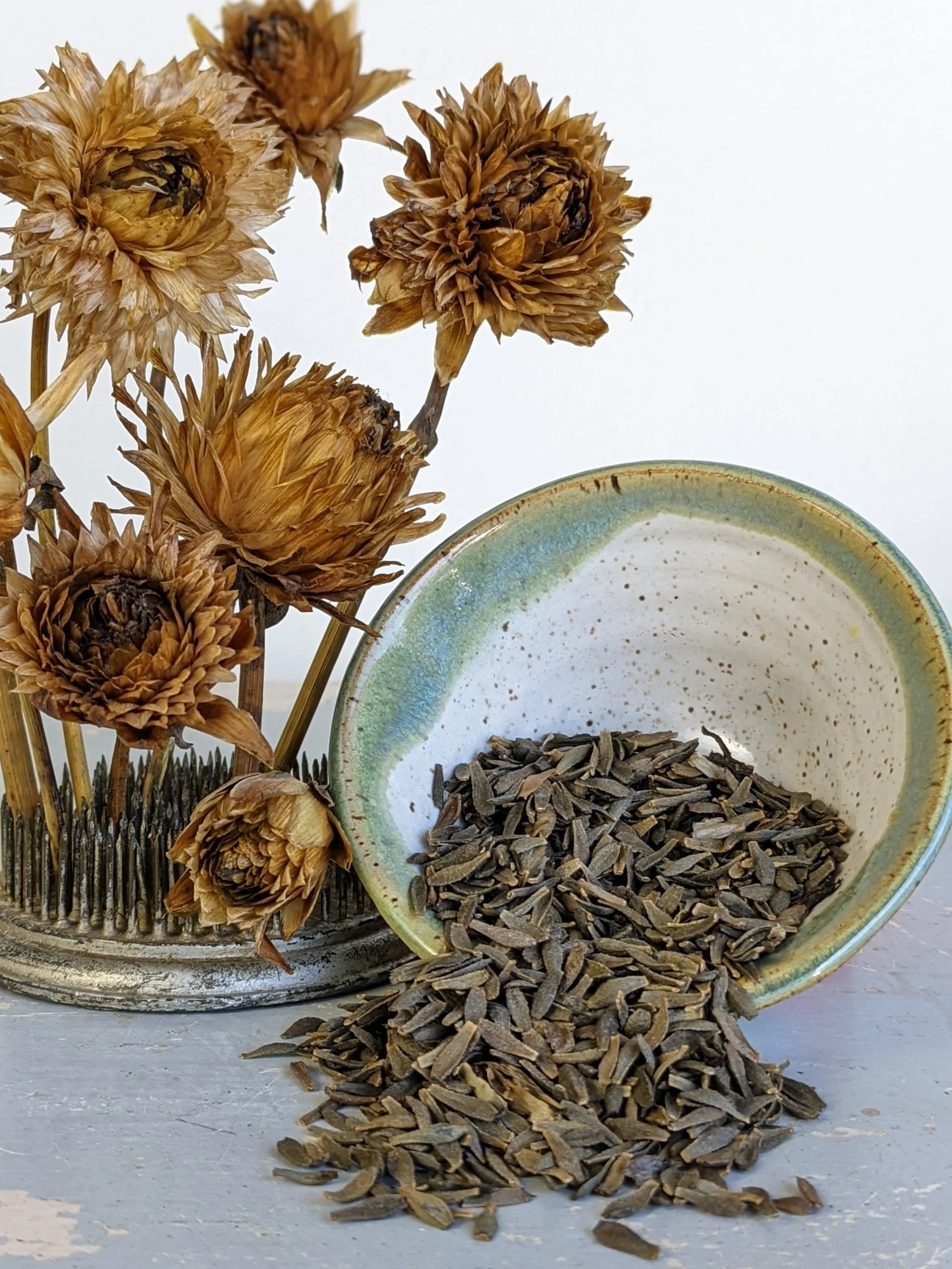 CT™ Dahlia Seed - Hybridizer Mix – Coseytown Flowers