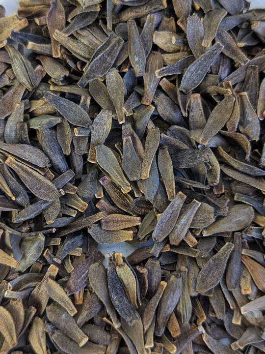 CT Premium Dahlia Seed