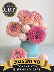 Coseytown® Birthday Girl