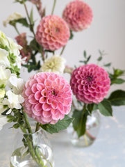 Coseytown® Birthday Girl