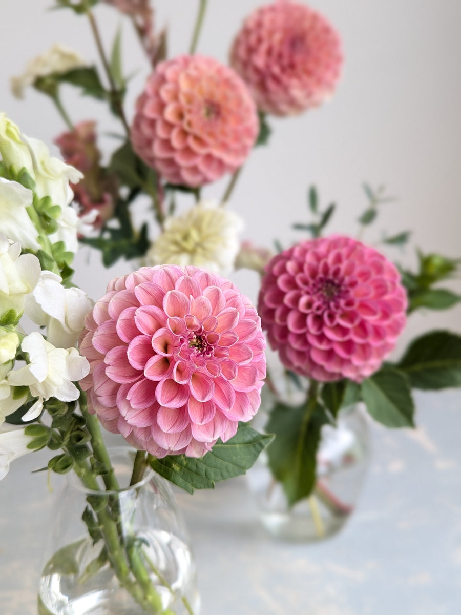 Coseytown® Birthday Girl