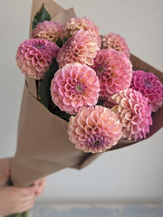 Coseytown® Birthday Girl