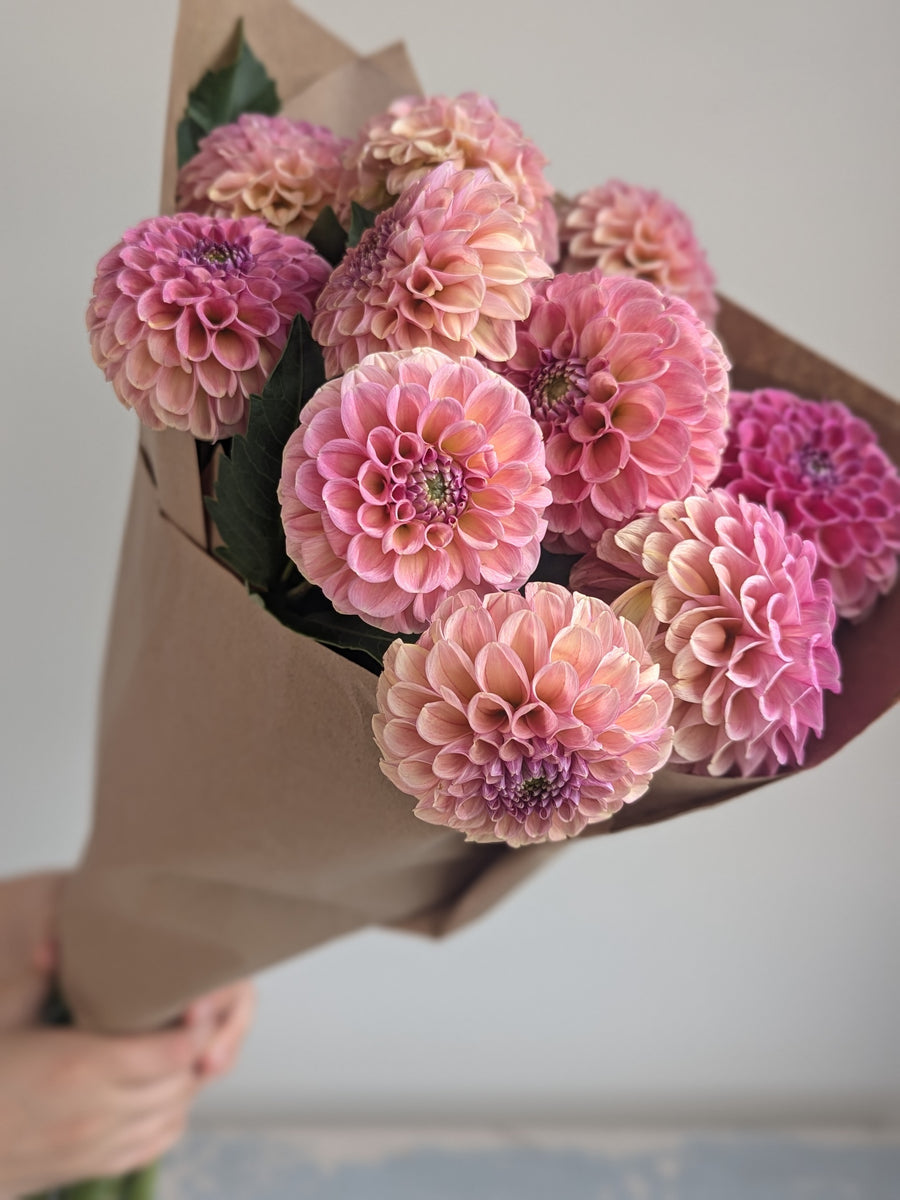 Coseytown® Birthday Girl