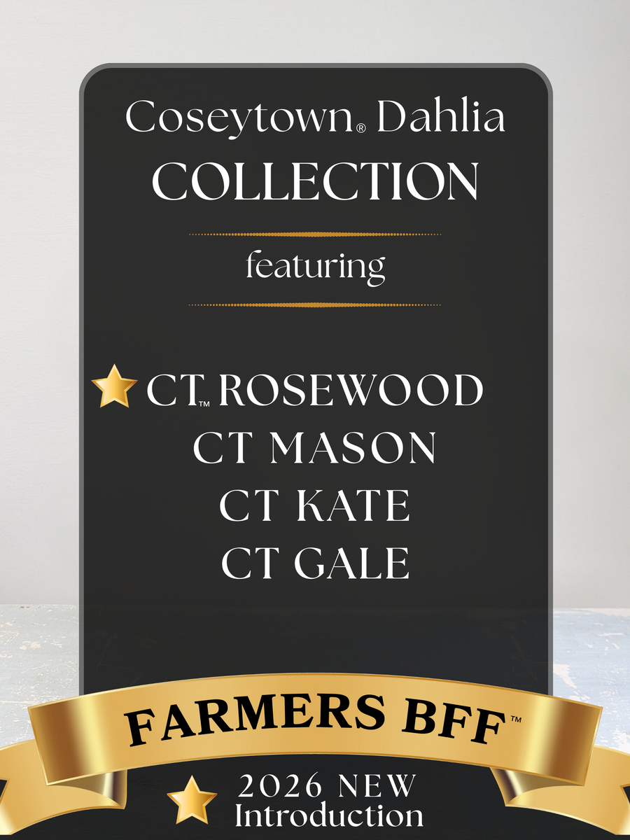 Farmers BFF™ Dahlia Collection