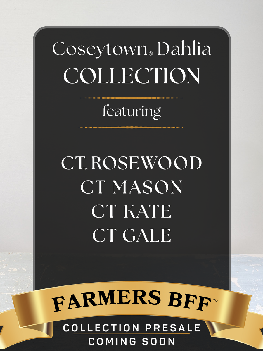 Farmers BFF™ Dahlia Collection