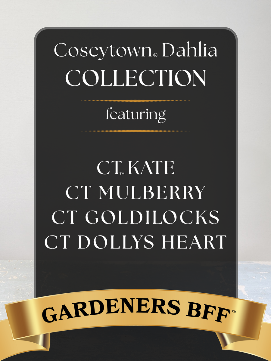 Gardeners BFF™ Dahlia Collection