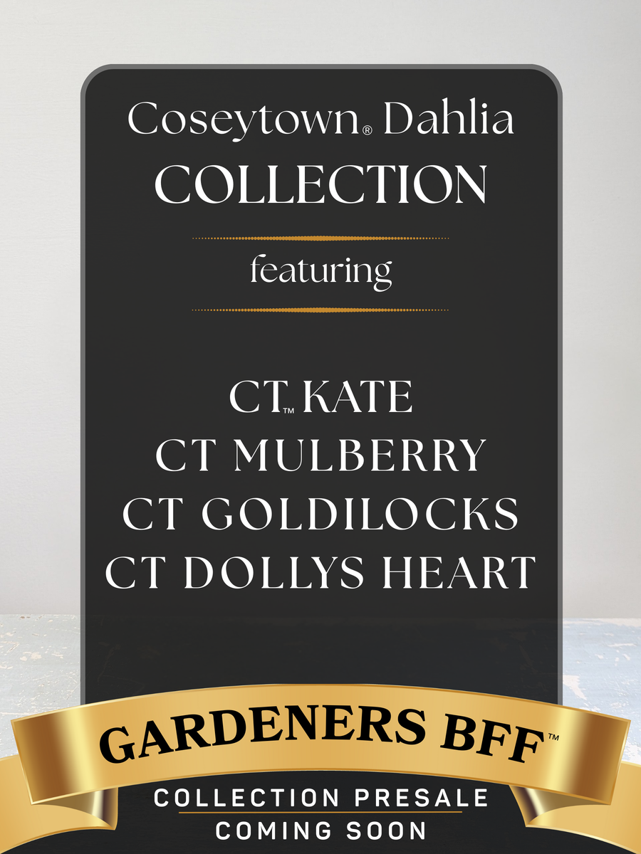 Gardeners BFF™ Dahlia Collection