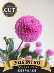 Coseytown® Keepsake