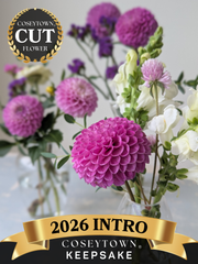 Coseytown® Keepsake