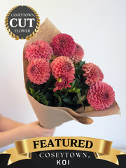 Coseytown® Koi