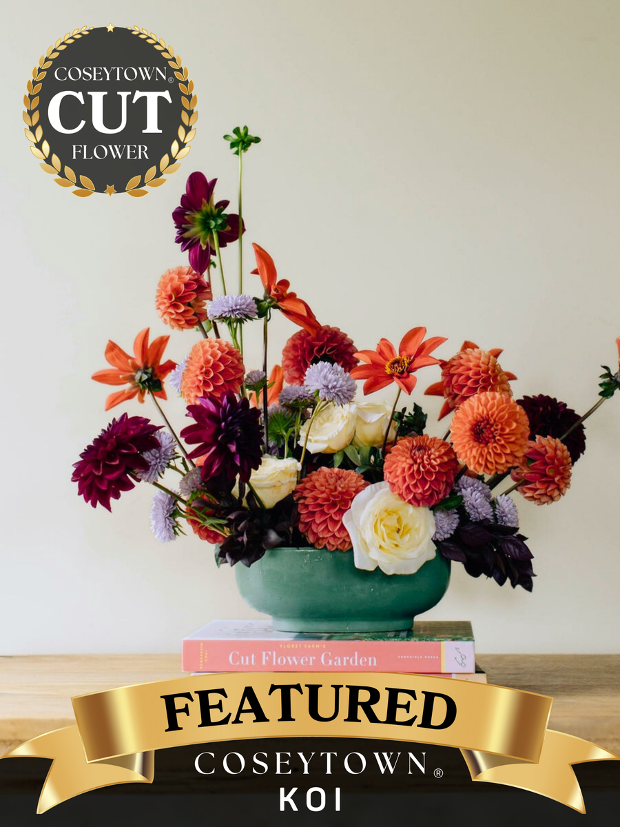 Coseytown® Koi