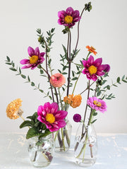 Coseytown® Rockette