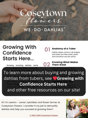 Coseytown® Rosewood