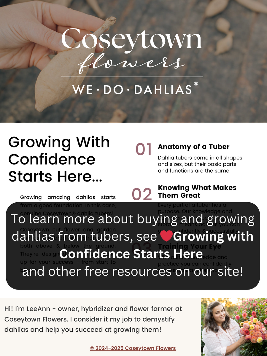 Coseytown® Pink Charm