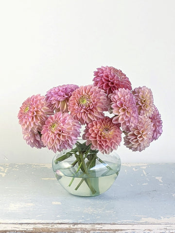 Coseytown | WE ∙ DO ∙ DAHLIAS | Cut Flower Dahlias | Flowers ...